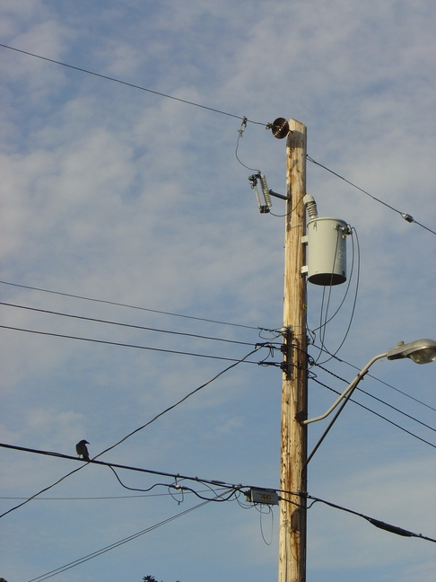wires